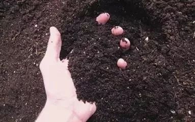 clip_image004.jpg