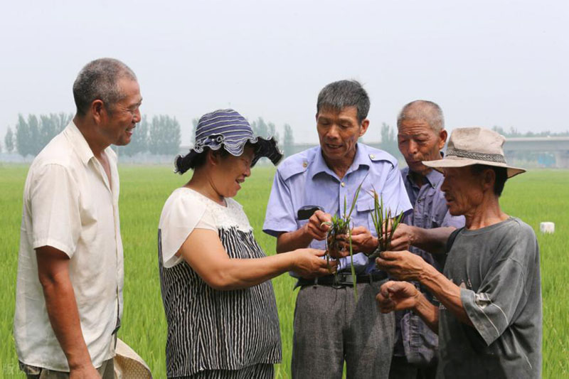 clip_image001.jpg