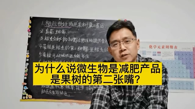 【视频】微生物解磷解钾、提高肥效、增产抗逆的原理一次说清楚！