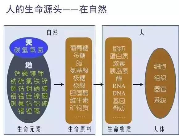 中科院徐恒泳丨有机农业：癌症的克星！
