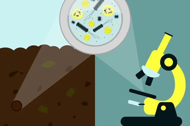 土壤的微生物是怎么被激活的？