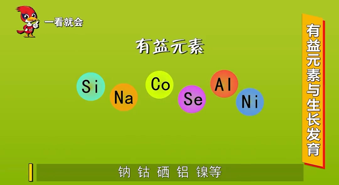 【视频】植物有益元素的种类有哪些？有什么作用？